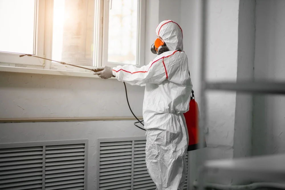 Professional mold remediation services in Koloa, HI